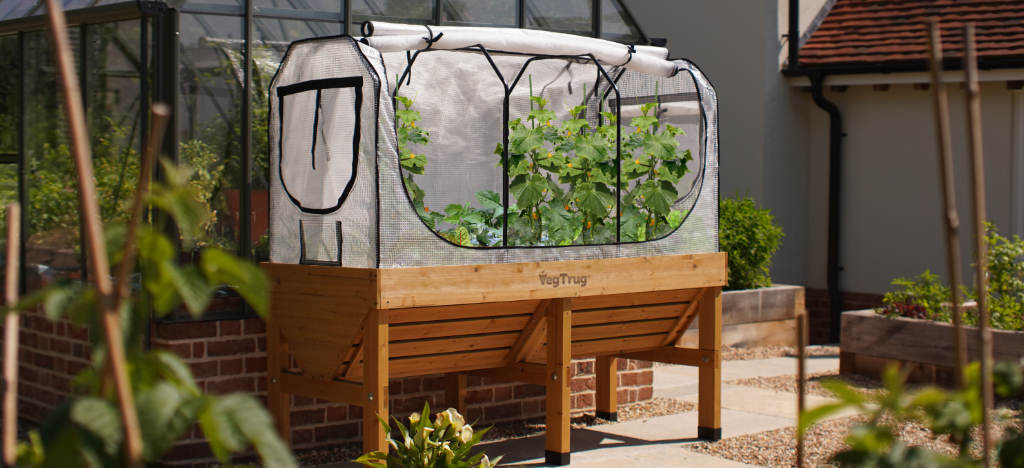 Sponsored - Banner X advertisement for VegTrug garden products featuring discounted planters with promotional text and a Shop Now button.