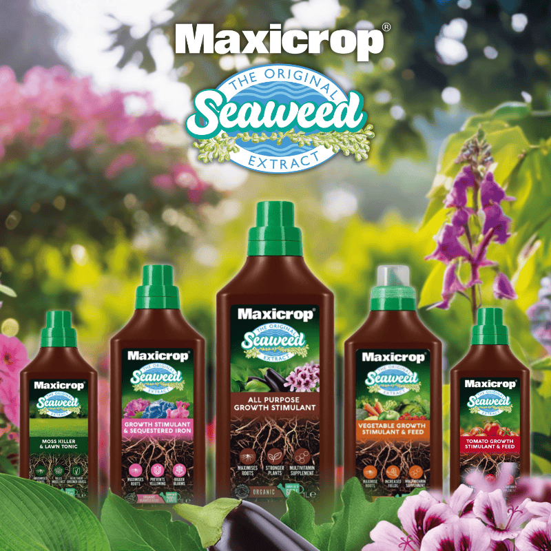 Sponsored - Banner X Advertisement. Boost your home grown harvests with Maxicrop sustainably sourced seaweed extract. Shop now.