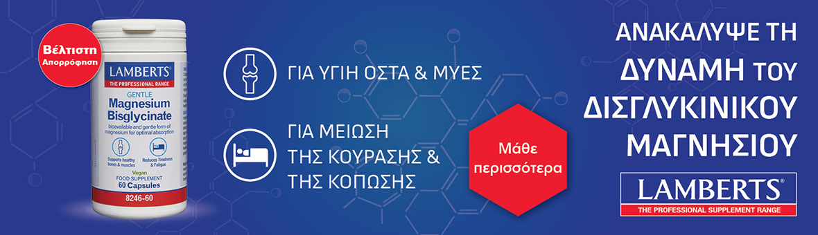 Promotion Banner