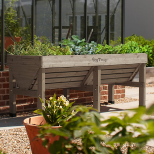 Sponsored - Banner X advertisement for VegTrug garden products featuring discounted planters with promotional text and a Shop Now button.
