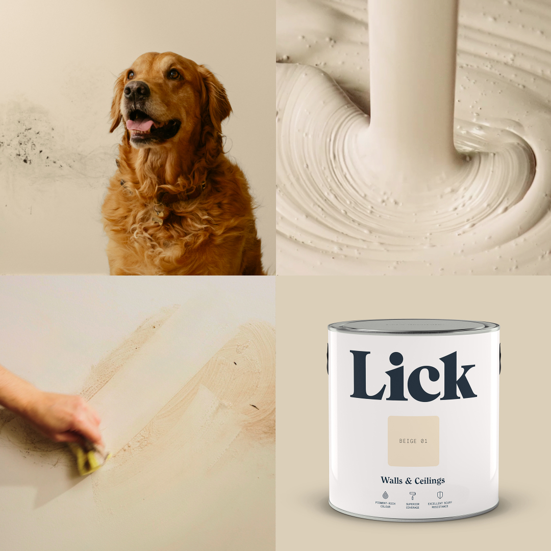 Sponsored Banner X Advertisement. Lick high-quality paint featuring dog. The ultimate paint for your busy home. Shop now