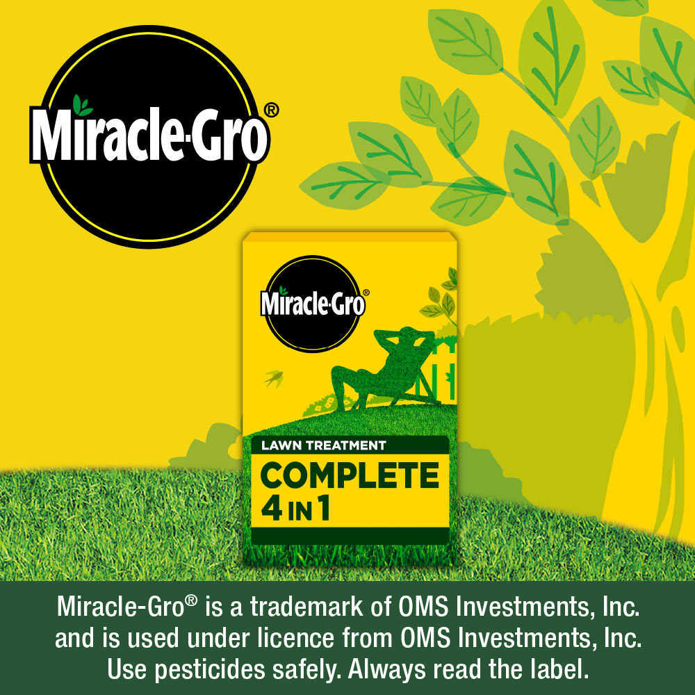 Sponsored - Banner X advertisement showing Miracle-Gro 4-in-1 lawncare product on a background of a grassy scene with the heading "Grow a lawn to be proud of" and a shop now button