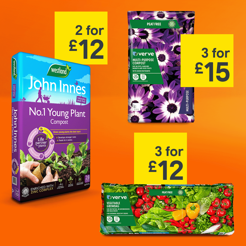 Offers on selected compost. 2 for £12 John Innes compost. 3 for £15 Verve multi-compost. 3 for £12 Verve vegetable grow bag.